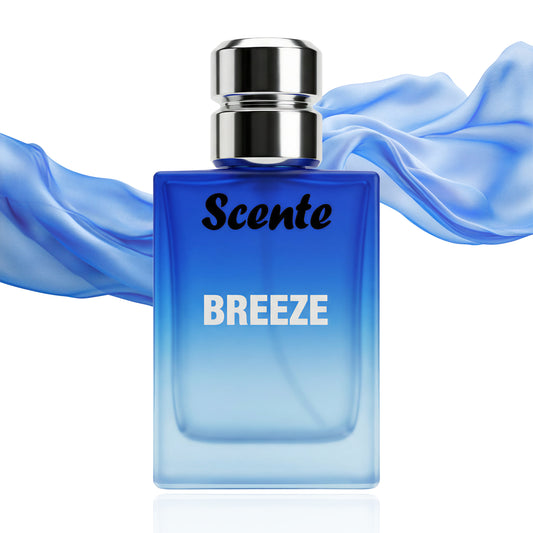 BREEZE - Inspired By Bombshell 50ML